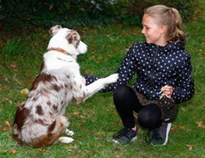 Therapiehund Mira - Ergotherapiepraxis am Park Petzold & Tschirner